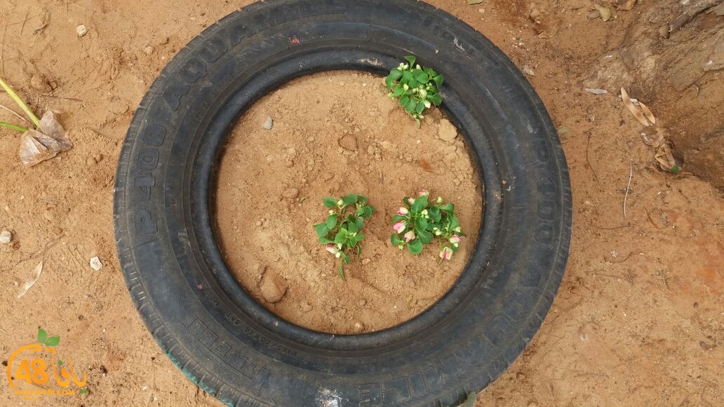 jsahrqwrjqlaskd (21).jpg